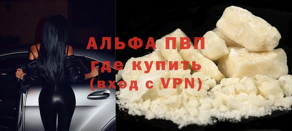 гашик Абаза