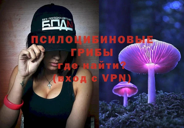гашик Абаза