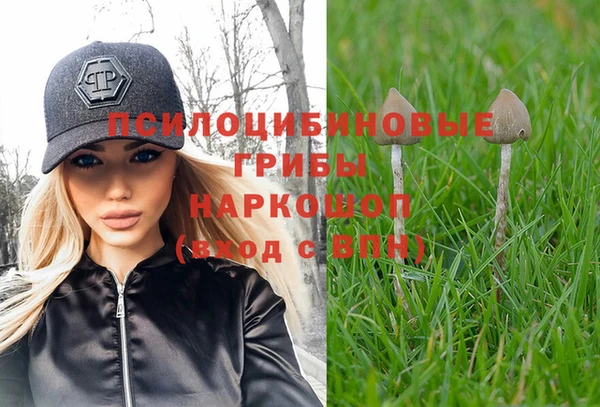гашик Абаза