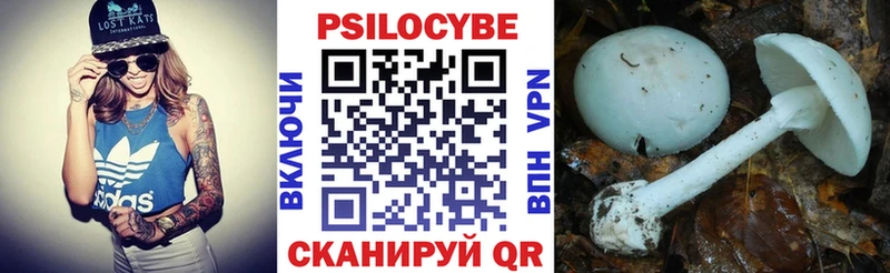 Псилоцибиновые грибы GOLDEN TEACHER Юрга