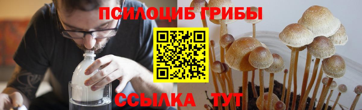 закладки  Галлюциногенные грибы прущие грибы  Вход с VPN  Юрга 